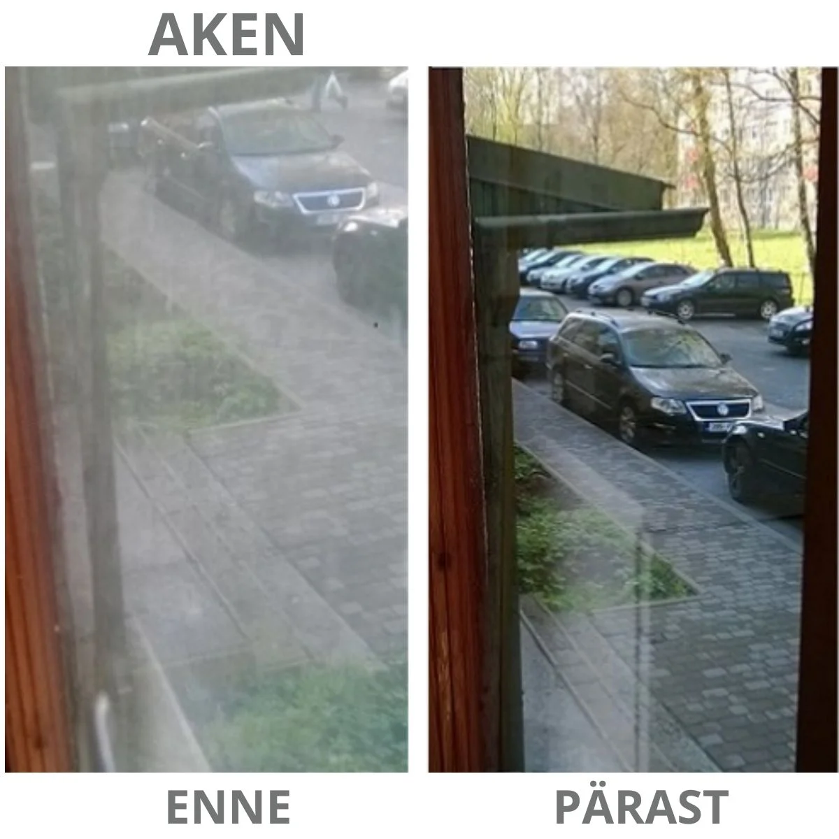 Palmivaha pihustiga pudel - Image 4